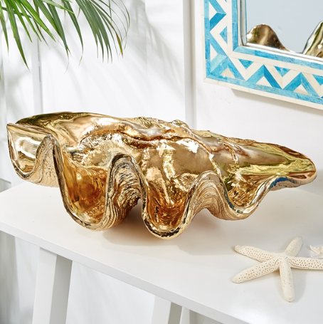 Giant Sea Shell Show Stopper!