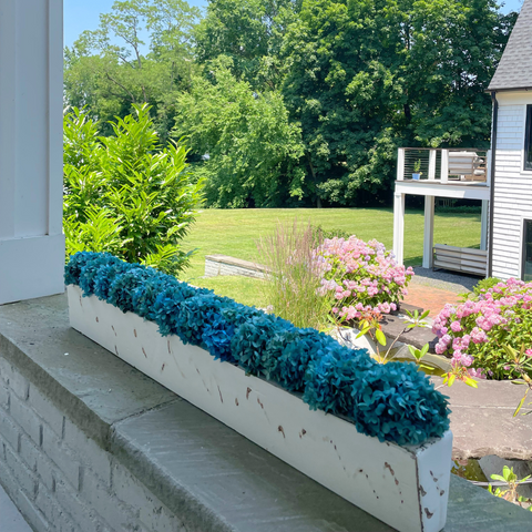 Preserved Blue Hydrangea in Rustic White Long Ceramic Container