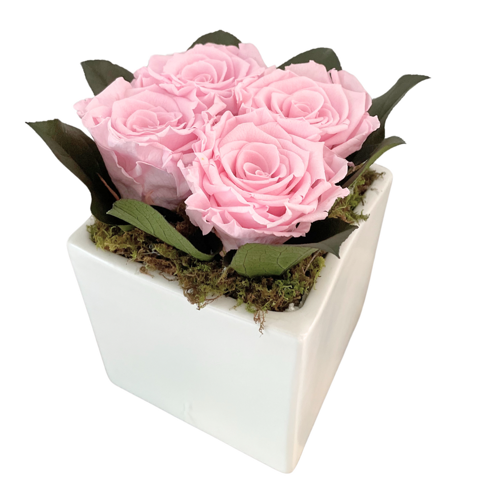 Preserved Roses in Pink Square Vase Preserved Roses in Pink Square Vase