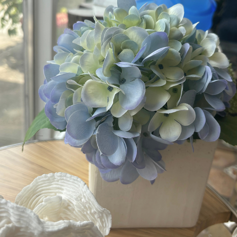 Blue Hydrangeas in white vase - small