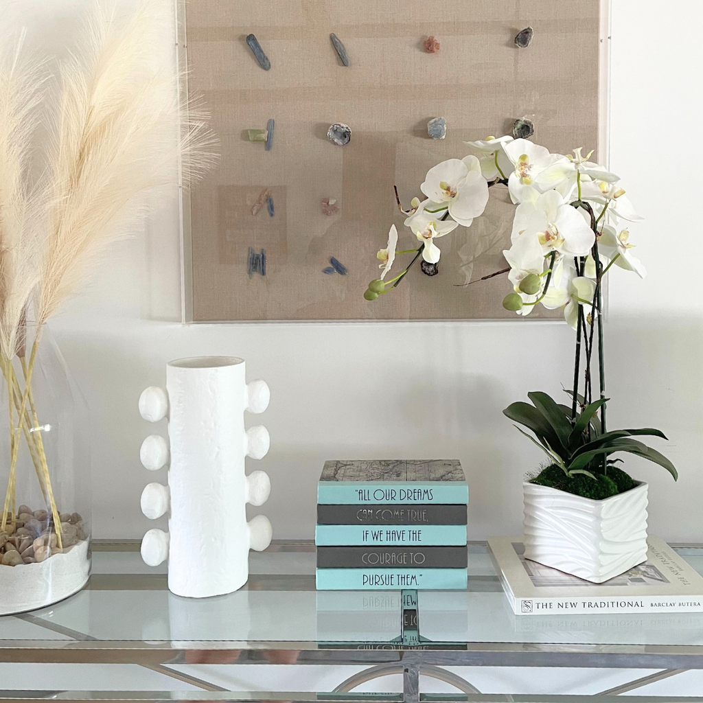 White Orchid in Square Vase White Orchid in Square Vase