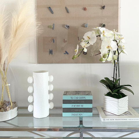 White Orchid in Square Vase