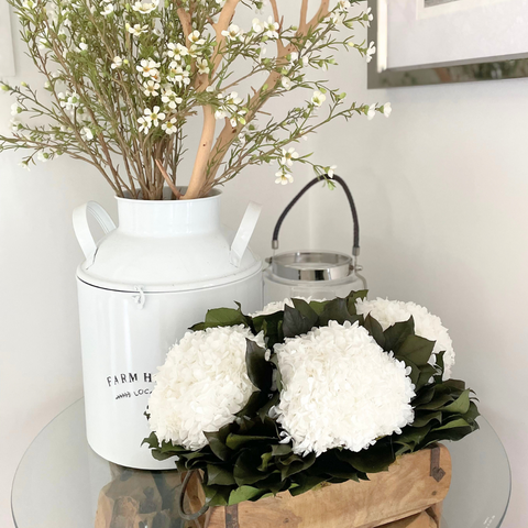Preserved White Real Hydrangea in Barnwood