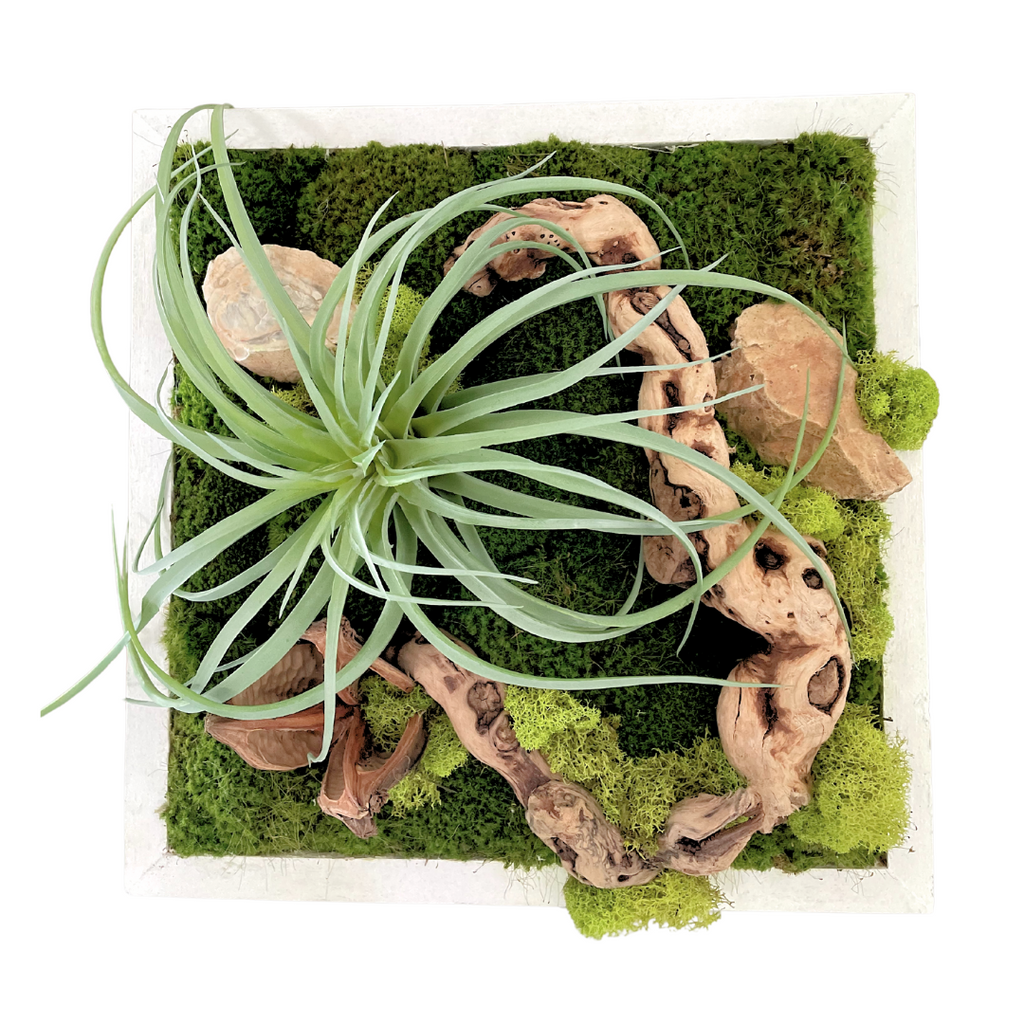 Wall Faux Moss and Grapevine in White Frame Wall Faux Moss and Grapevine in White Frame