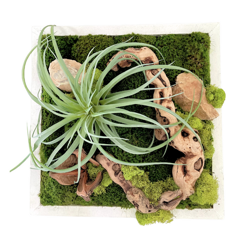 Wall Faux Moss and Grapevine in White Frame