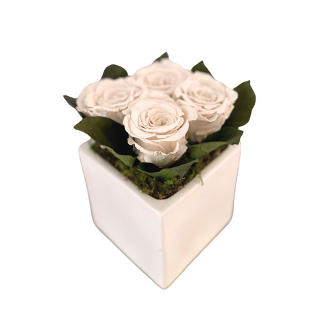 Preserved Roses in White Square Vase