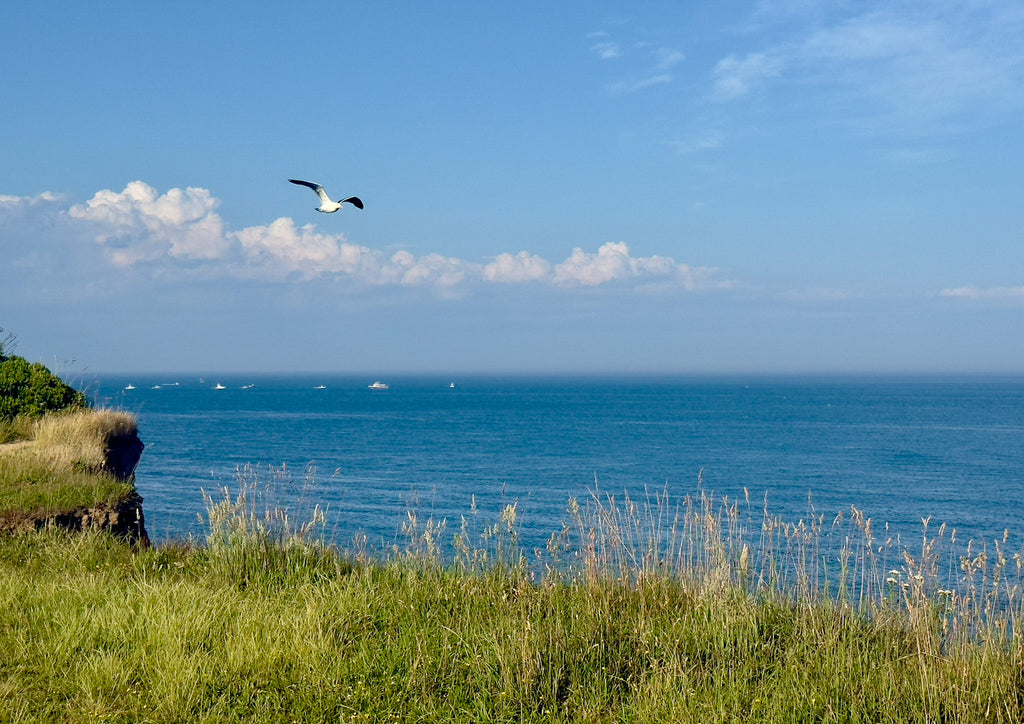 Fly High, Camp Hero - Classic Collection Fly High, Camp Hero - Classic Collection