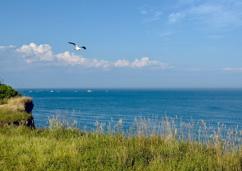 Fly High, Camp Hero - Classic Collection