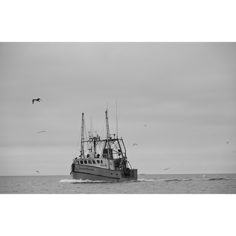 On the Way to Fish, Montauk (BW) - Premium Collection