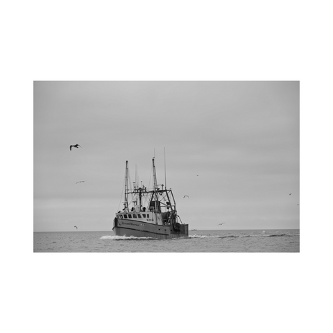 On the Way to Fish, Gosman Montauk (BW) - Classic Collection