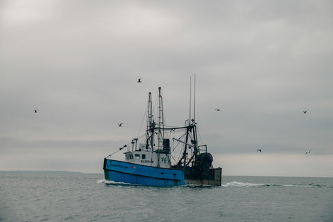 On the Way to Fish, Gosman Montauk (Color) - Classic Collection