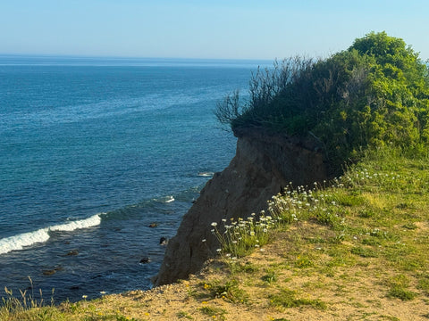 Camp Hero - Classic Collection