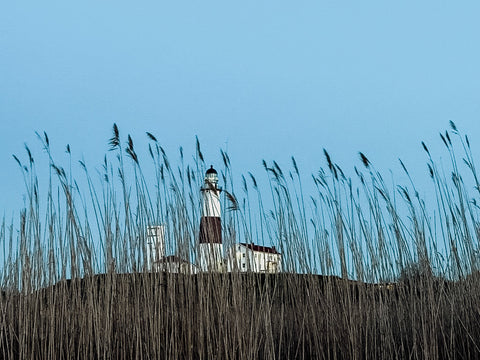 Through the Grass, Montauk - Classic Collection