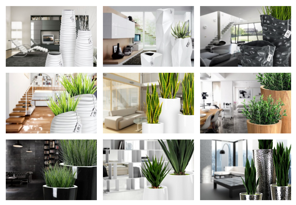 Modern Planters and Plants