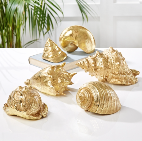 Gold and Silver Sea Shells
