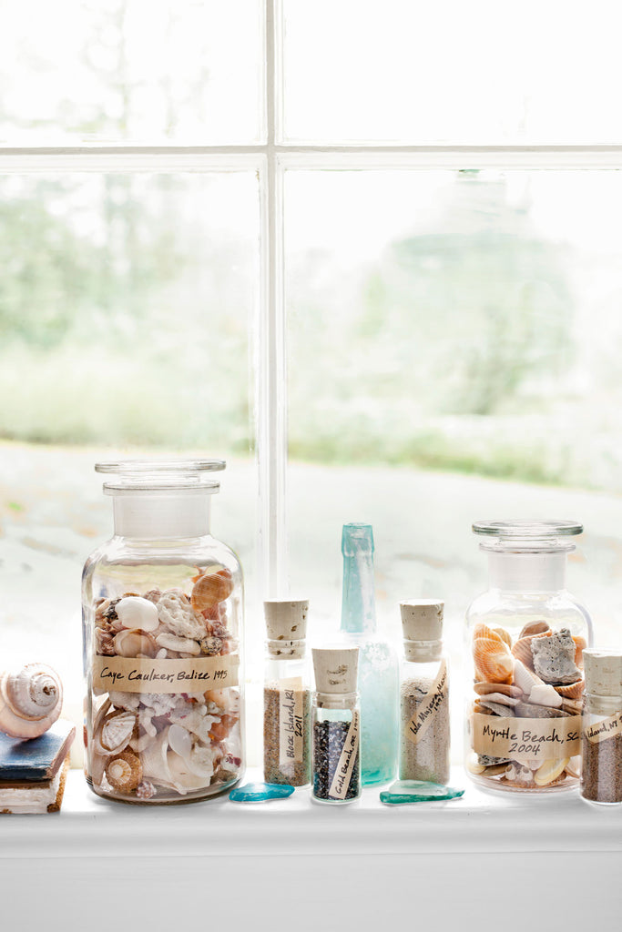 How to Display Your Sea Shells, Starfish and Coral in 3 Ways!
