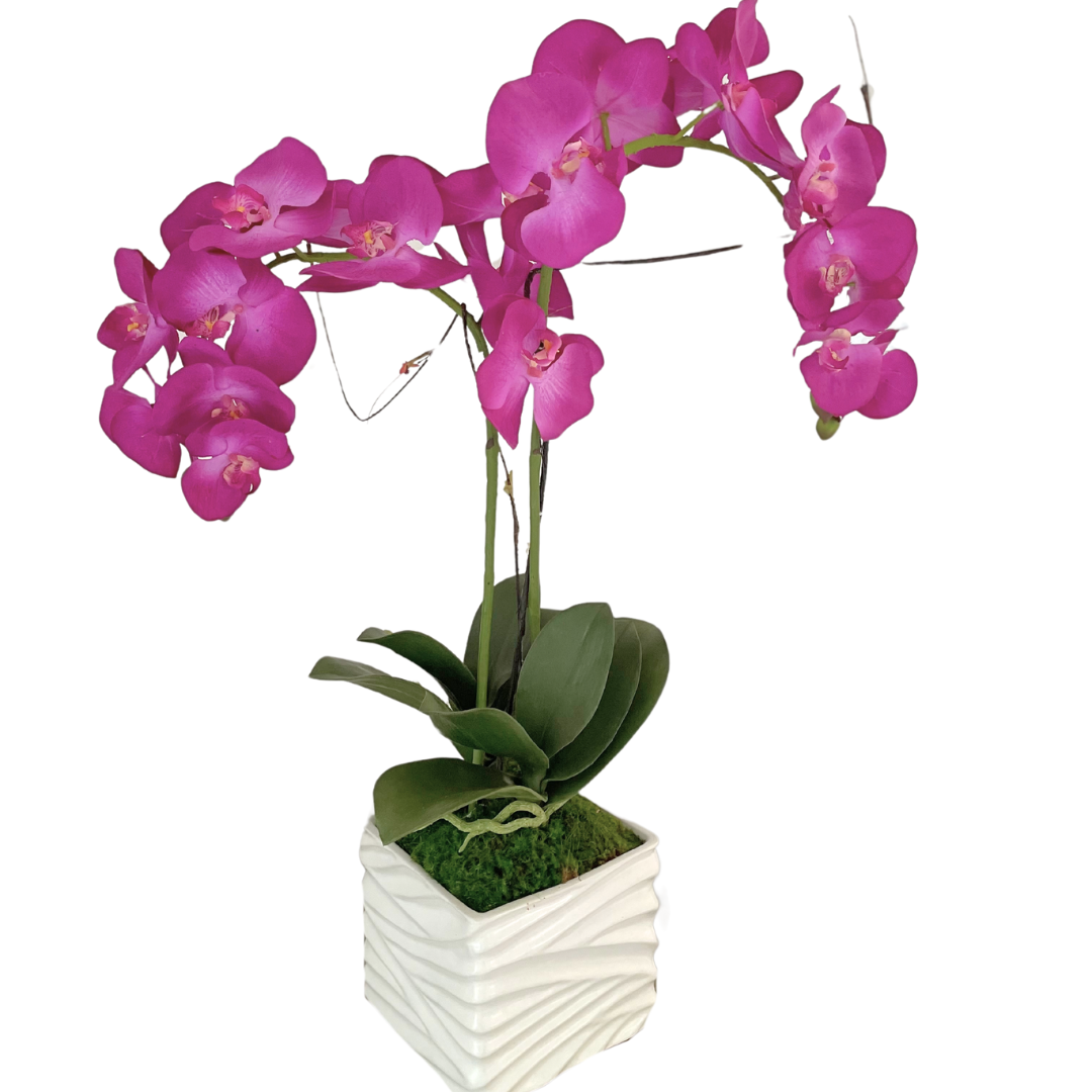 artificial orchid plants in pots Fuschia Faux Orchid Plant (Large) – Ocean Blu Designs