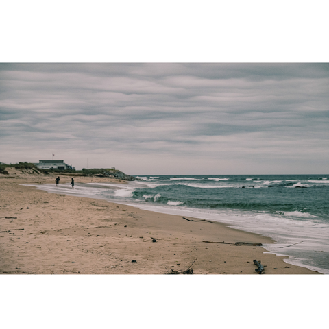 Shoreline, Ditch Plains - Premium Collection