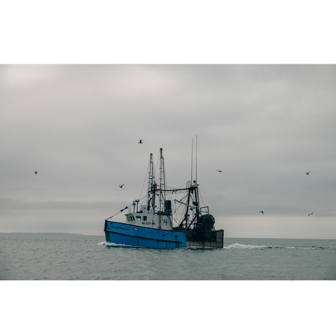 On the Way to Fish, Montauk (Color) - Premium Collection