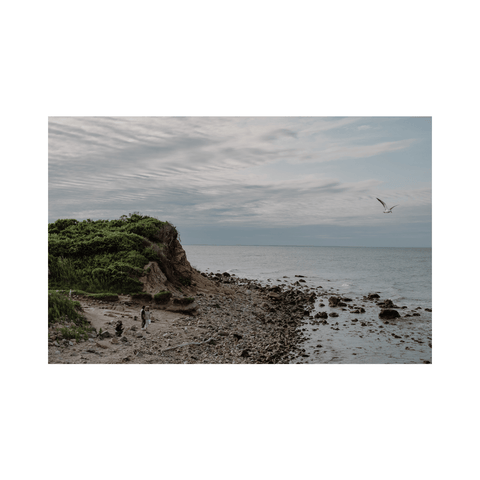 Afternoon Walk in Bluff, Montauk - Premium Acrylic or Metal Wall Art Collection