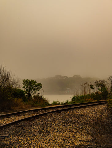 Foggy Day in Montauk - Classic Collection