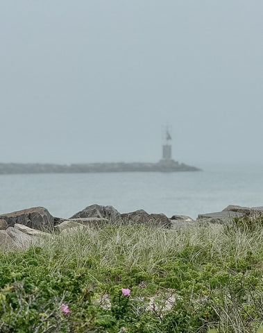 Foggy Day in Montauk - Classic Collection