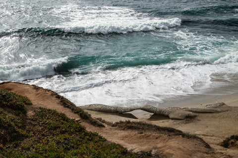La Jolla Beach Wave II - Classic Collection
