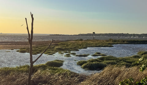 Manhasset Bay Gold Hour - Premium Acrylic or Metal Wall Art Collection