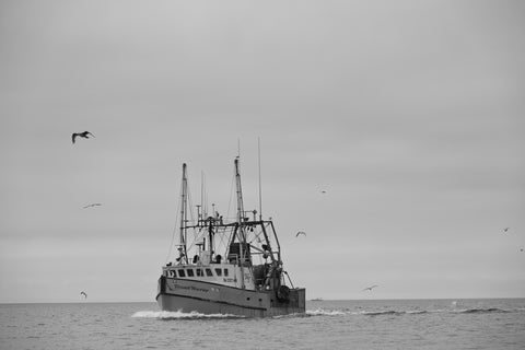 On the Way to Fish, Montauk (BW) - Premium Acrylic or Metal Wall Art Collection