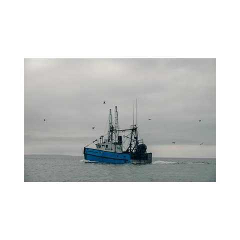 On the Way to Fish, Montauk (Color) - Premium Collection