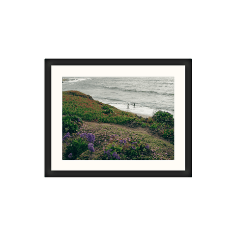 La Jolla Shore & Flowers - Classic Collection 16x20