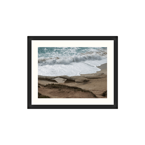 La Jolla Beach Wave I - Classic Collection