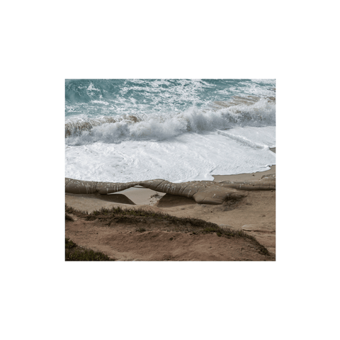 La Jolla Shore & Flowers - Premium Acrylic or Metal Wall Art Collection