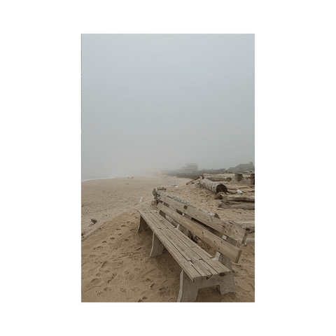 The Bench, Ditch Plain - Classic Collection