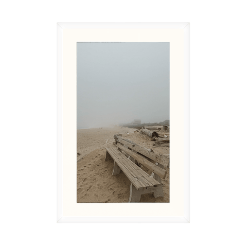 The Bench, Ditch Plain - Classic Collection
