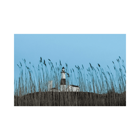 Through the Grass, Montauk - Premium Collection