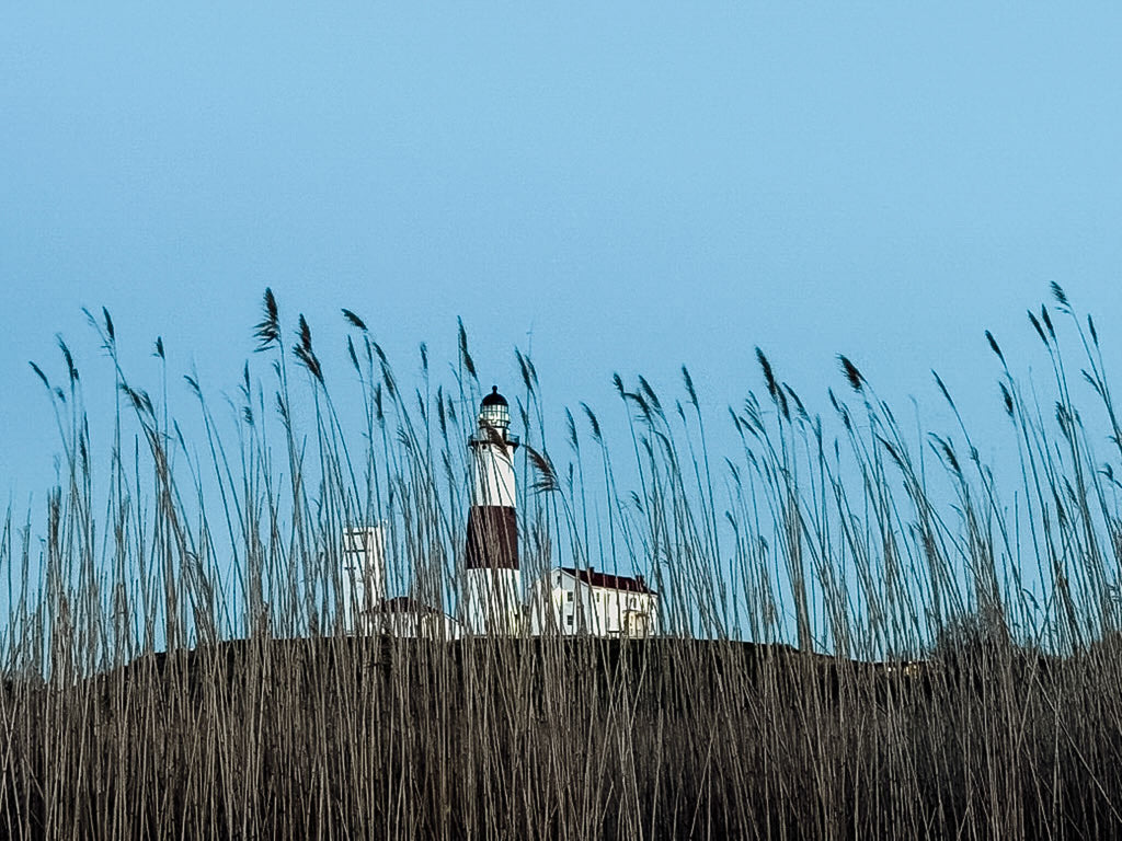 Through the Grass, Montauk - Premium Acrylic or Metal Wall Art Collection