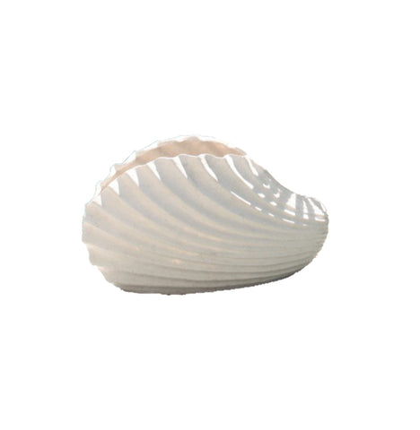 Clam Shell Home Decor / Planter - Small