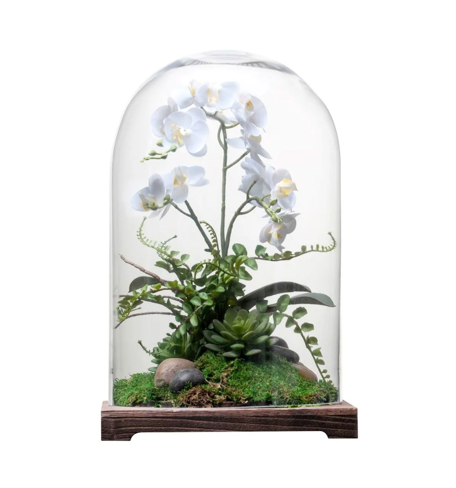 terrarium with plants for sale 16" Cabo Terrarium with Orchid Arrangement – Ocean Blu Designs