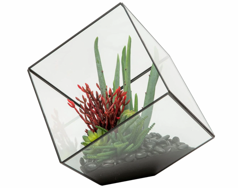 Large Black Berkley Terrarium Arrangement AR1129