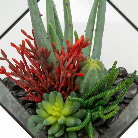 Large Black Berkley Terrarium Arrangement AR1129